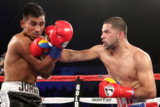 alisilva_hoganphotos