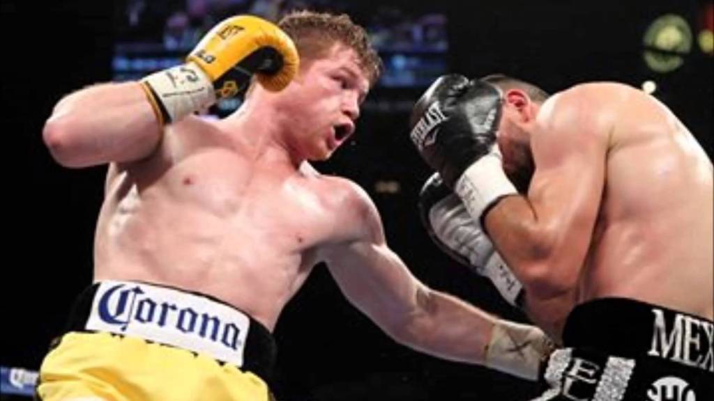 CANELO SUSPENDED FOR 6&nbsp;MONTHS