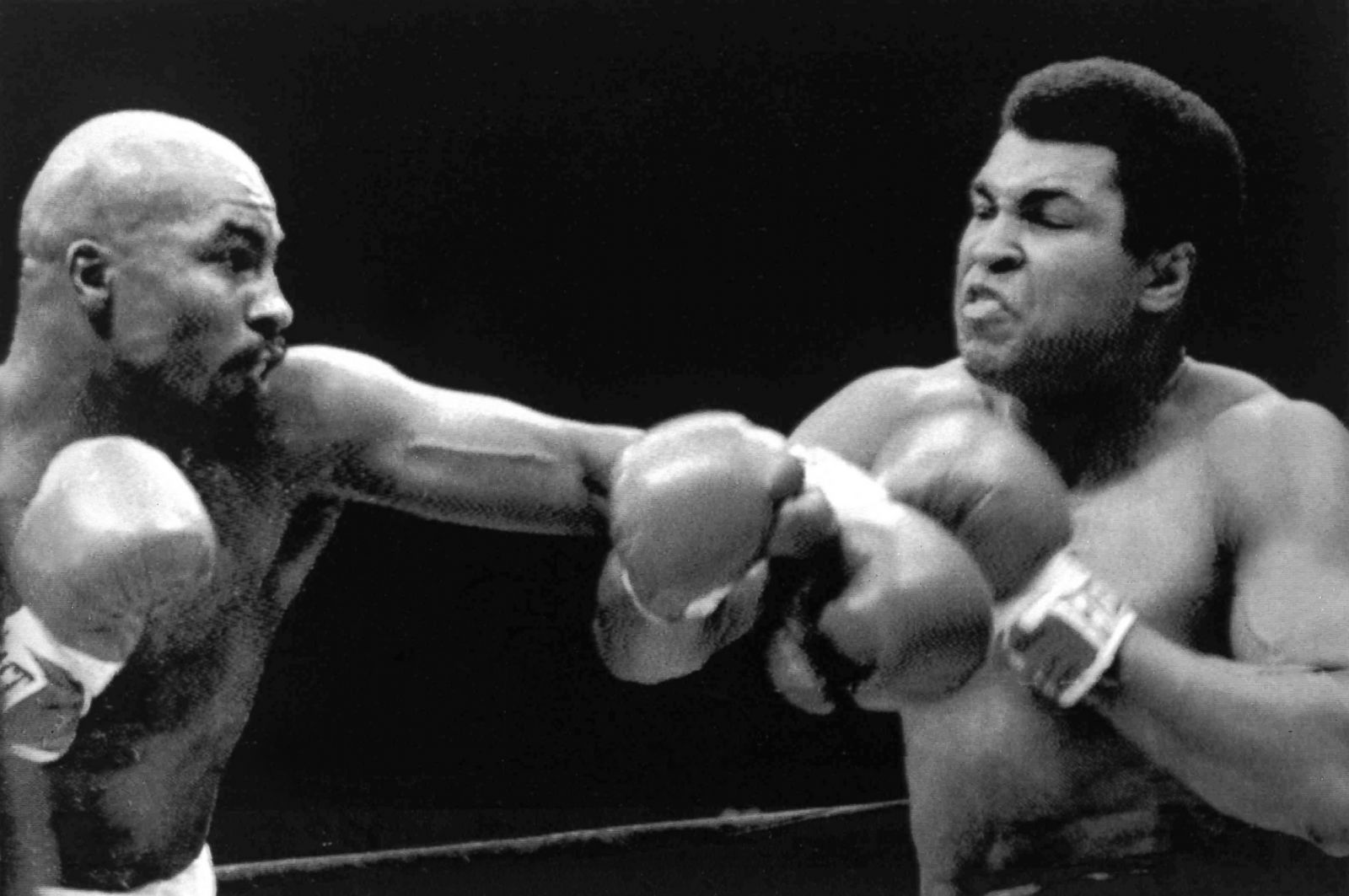 AP7709290196_v3x2_3x2_1600