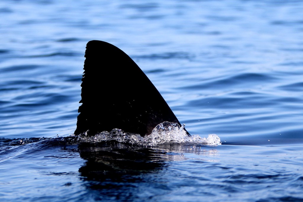 COME ON IN, THE WATERS&nbsp;LOVELY