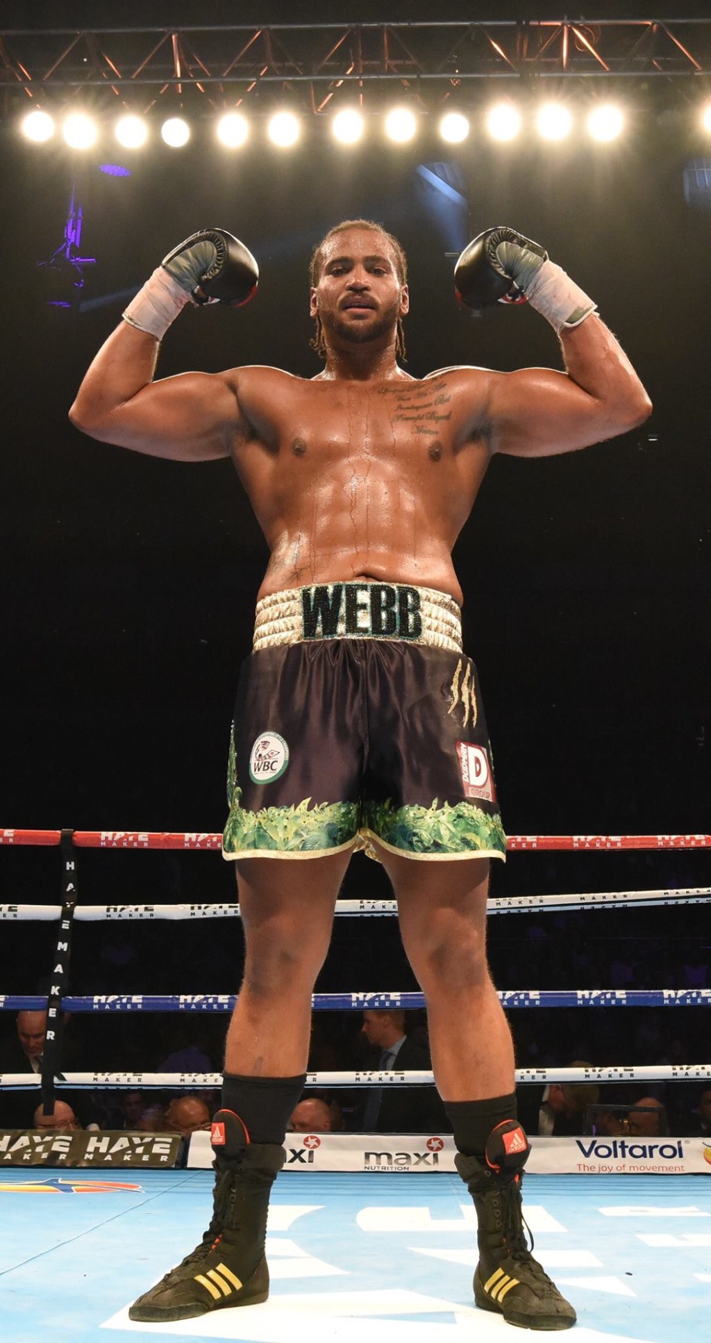 NICK WEBB DEFEATS DORIAN&nbsp;DARCH