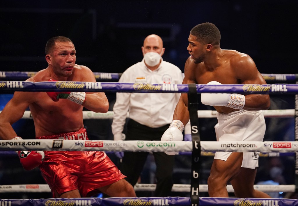 BRUTAL JOSHUA KNOCKS OUT PULEV IN NINE ROUNDS TO RETAIN HEAVYWEIGHT WORLD&nbsp;TITLES!