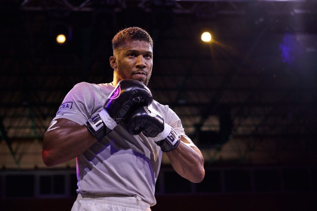 USYK VS. JOSHUA 2 PUBLIC WORKOUT&nbsp;QUOTES